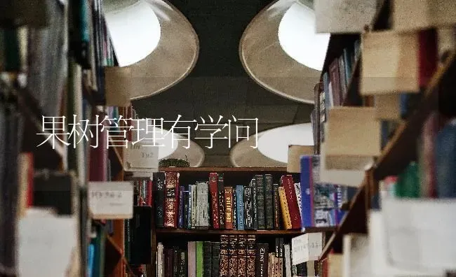 果树管理有学问 | 瓜果种植