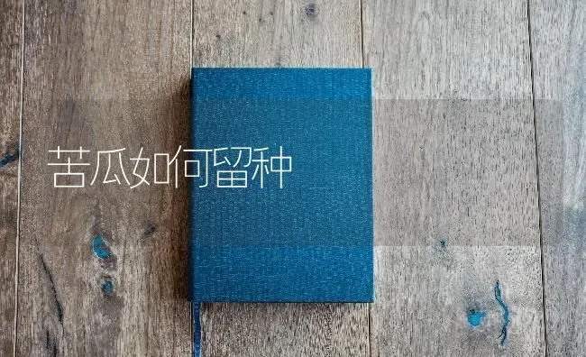苦瓜如何留种 | 蔬菜种植