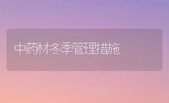 中药材冬季管理措施 | 药材种植