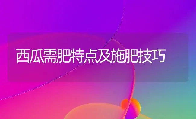 西瓜需肥特点及施肥技巧 | 种植肥料施肥