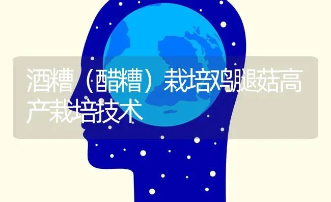 酒糟（醋糟）栽培鸡腿菇高产栽培技术 | 食用菌种植