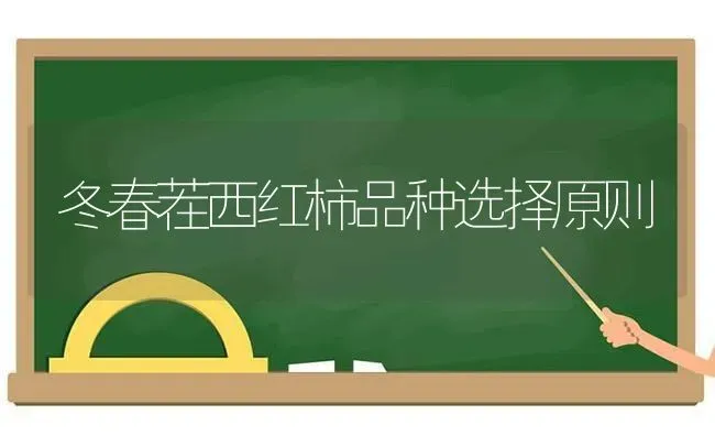 冬春茬西红柿品种选择原则 | 蔬菜种植