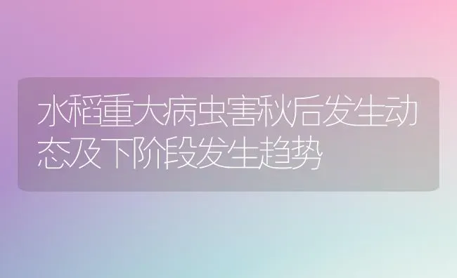 水稻重大病虫害秋后发生动态及下阶段发生趋势 | 粮油作物种植