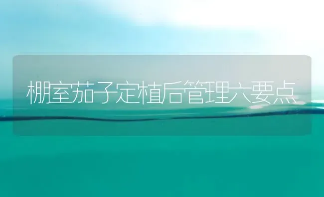 棚室茄子定植后管理六要点 | 蔬菜种植