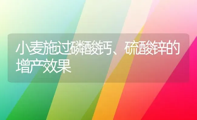 小麦施过磷酸钙、硫酸锌的增产效果 | 瓜果种植