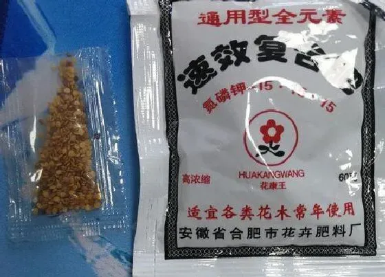 种植育种|倒挂金钟种子什么时候种植最好