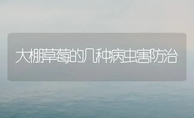大棚草莓的几种病虫害防治 | 种植病虫害防治