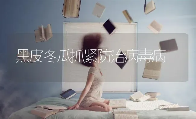 黑皮冬瓜抓紧防治病毒病 | 蔬菜种植