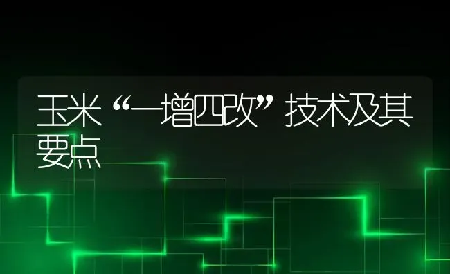 玉米“一增四改”技术及其要点 | 粮油作物种植