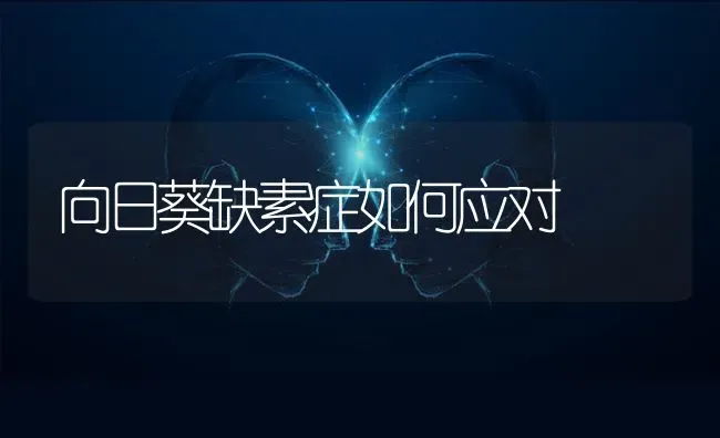 向日葵缺素症如何应对 | 粮油作物种植