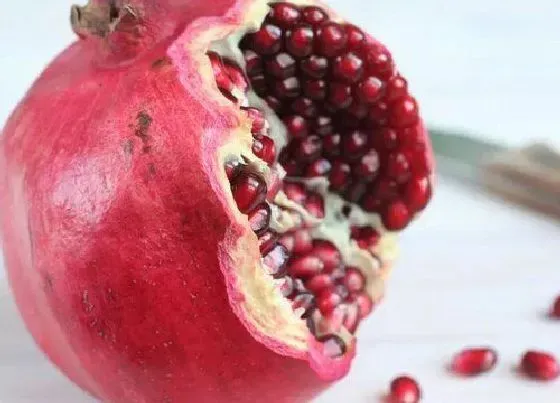 果实保存|石榴的储存方法