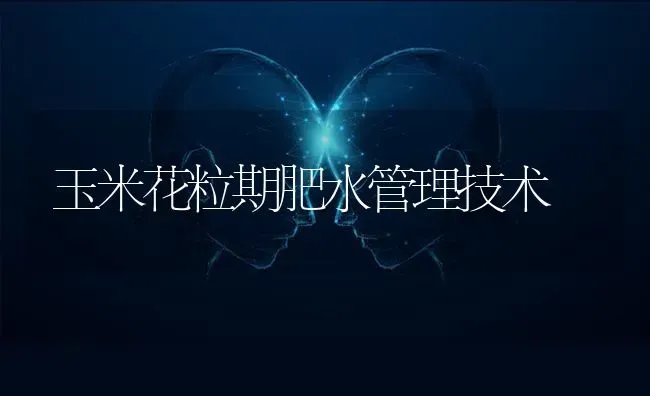 玉米花粒期肥水管理技术 | 粮油作物种植