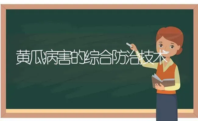 黄瓜病害的综合防治技术 | 蔬菜种植