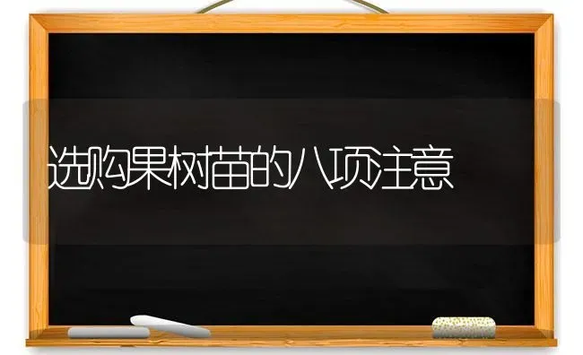 选购果树苗的八项注意 | 瓜果种植