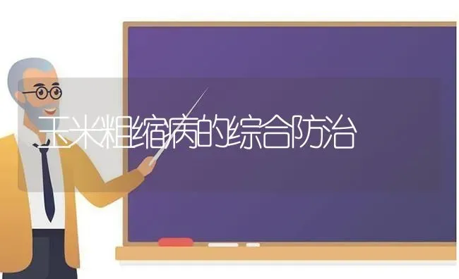 玉米粗缩病的综合防治 | 粮油作物种植