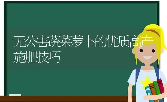 无公害蔬菜萝卜的优质高产施肥技巧 | 蔬菜种植