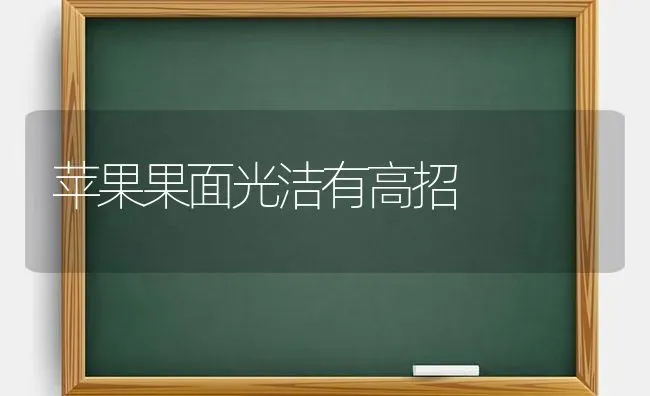 苹果果面光洁有高招 | 瓜果种植