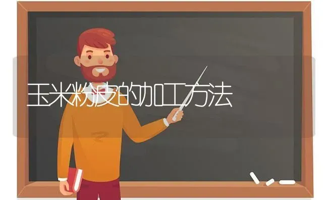 玉米粉皮的加工方法 | 粮油作物种植