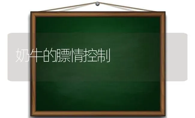 干旱、半干旱区果树节水旱作栽培技术 | 瓜果种植