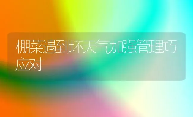 棚菜遇到坏天气加强管理巧应对 | 蔬菜种植