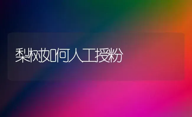 梨树如何人工授粉 | 瓜果种植