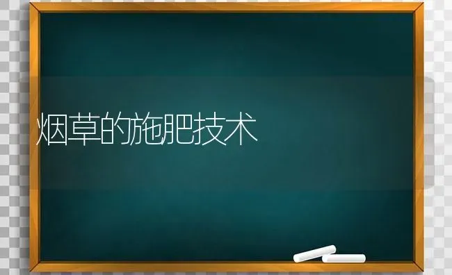 烟草的施肥技术 | 种植肥料施肥