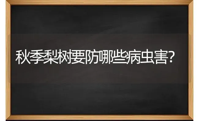 秋季梨树要防哪些病虫害？ | 种植病虫害防治