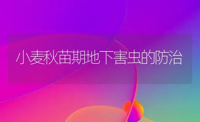 小麦秋苗期地下害虫的防治 | 粮油作物种植