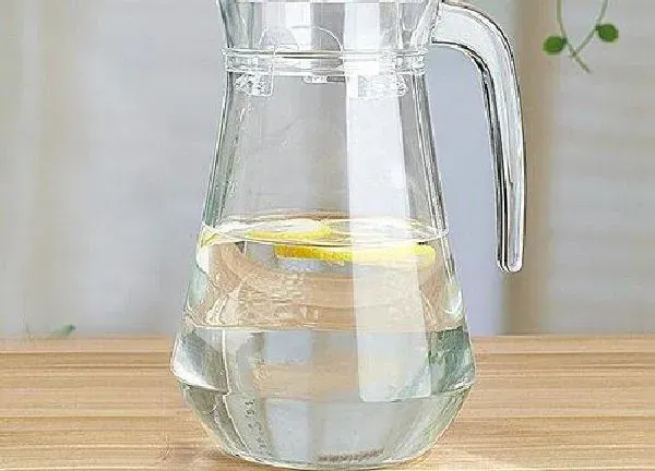 植物浇水|盐水能浇花吗 浇花正确方法