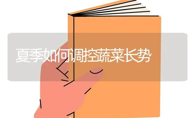 夏季如何调控蔬菜长势 | 蔬菜种植