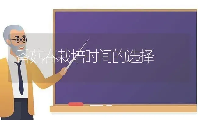 香菇春栽培时间的选择 | 食用菌种植