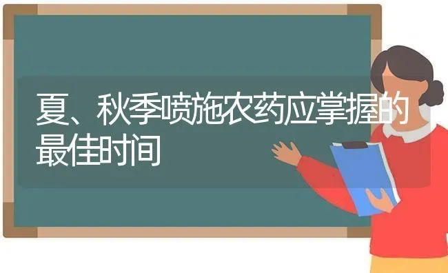 夏、秋季喷施农药应掌握的最佳时间 | 种植病虫害防治