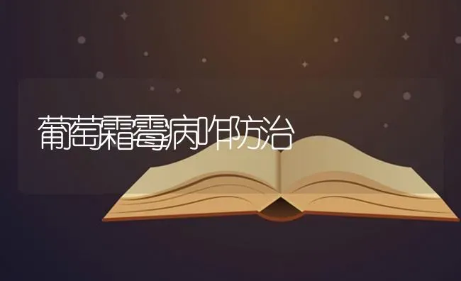 葡萄霜霉病咋防治 | 瓜果种植