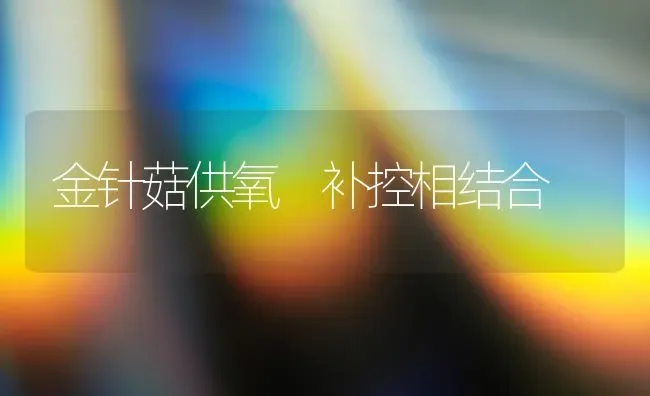 金针菇供氧 补控相结合 | 食用菌种植