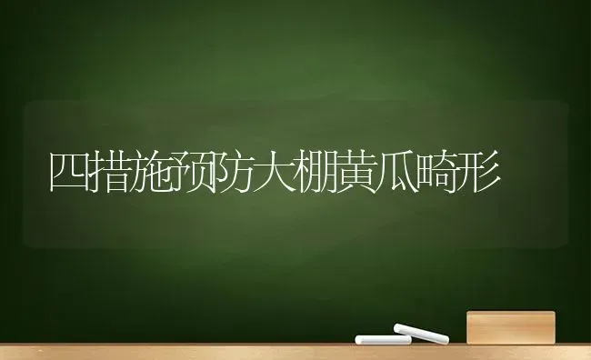 四措施预防大棚黄瓜畸形 | 蔬菜种植