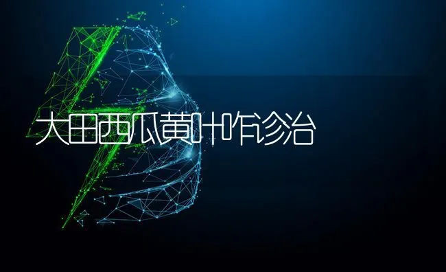 大田西瓜黄叶咋诊治 | 瓜果种植