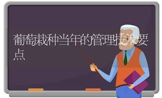 葡萄栽种当年的管理技术要点 | 瓜果种植