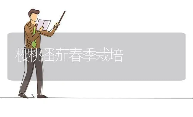 樱桃番茄春季栽培 | 瓜果种植
