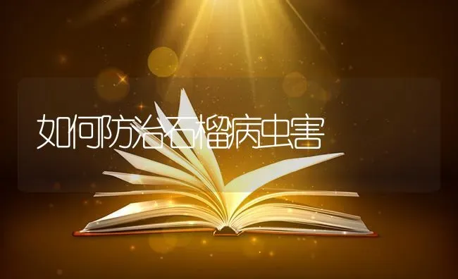 如何防治石榴病虫害 | 种植病虫害防治