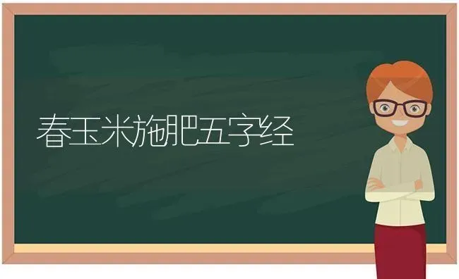 春玉米施肥五字经 | 种植肥料施肥
