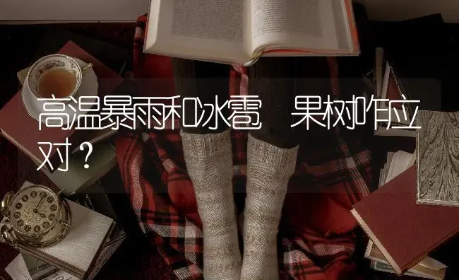 高温暴雨和冰雹 果树咋应对？ | 瓜果种植