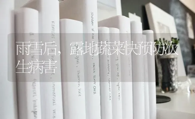 雨雪后，露地蔬菜快预防次生病害 | 蔬菜种植