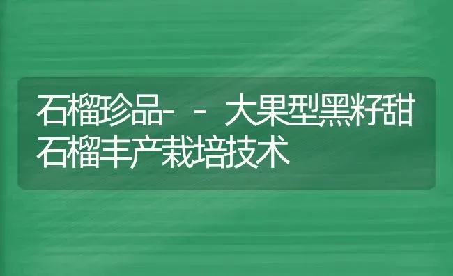 石榴珍品--大果型黑籽甜石榴丰产栽培技术 | 瓜果种植