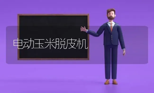 电动玉米脱皮机 | 粮油作物种植