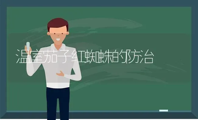 温室茄子红蜘蛛的防治 | 蔬菜种植