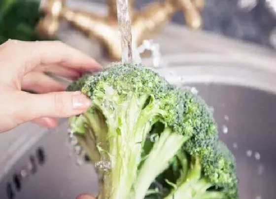 食用技巧|花菜怎么洗才干净