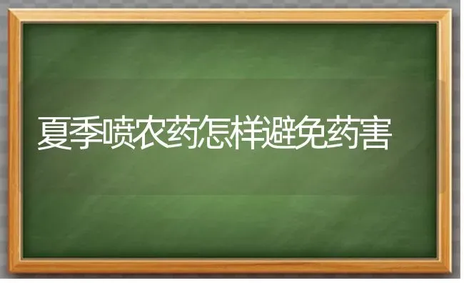 夏季喷农药怎样避免药害 | 种植病虫害防治
