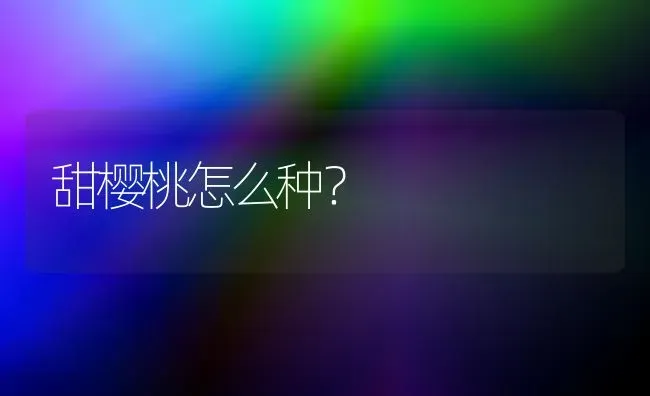 甜樱桃怎么种？ | 瓜果种植