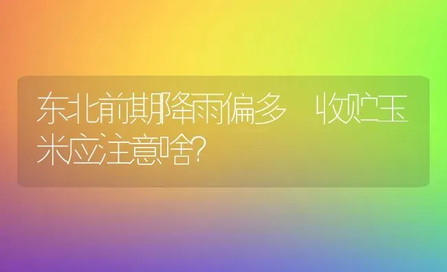 东北前期降雨偏多 收贮玉米应注意啥？ | 粮油作物种植