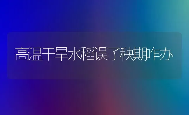 高温干旱水稻误了秧期咋办 | 粮油作物种植